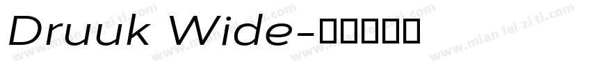 Druuk Wide字体转换